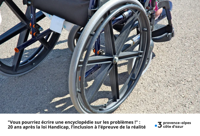 "Vous pourriez écrire une encyclopédie sur les problèmes !" : 20 ans après la loi Handicap, l’inclusion à l’épreuve de la réalité